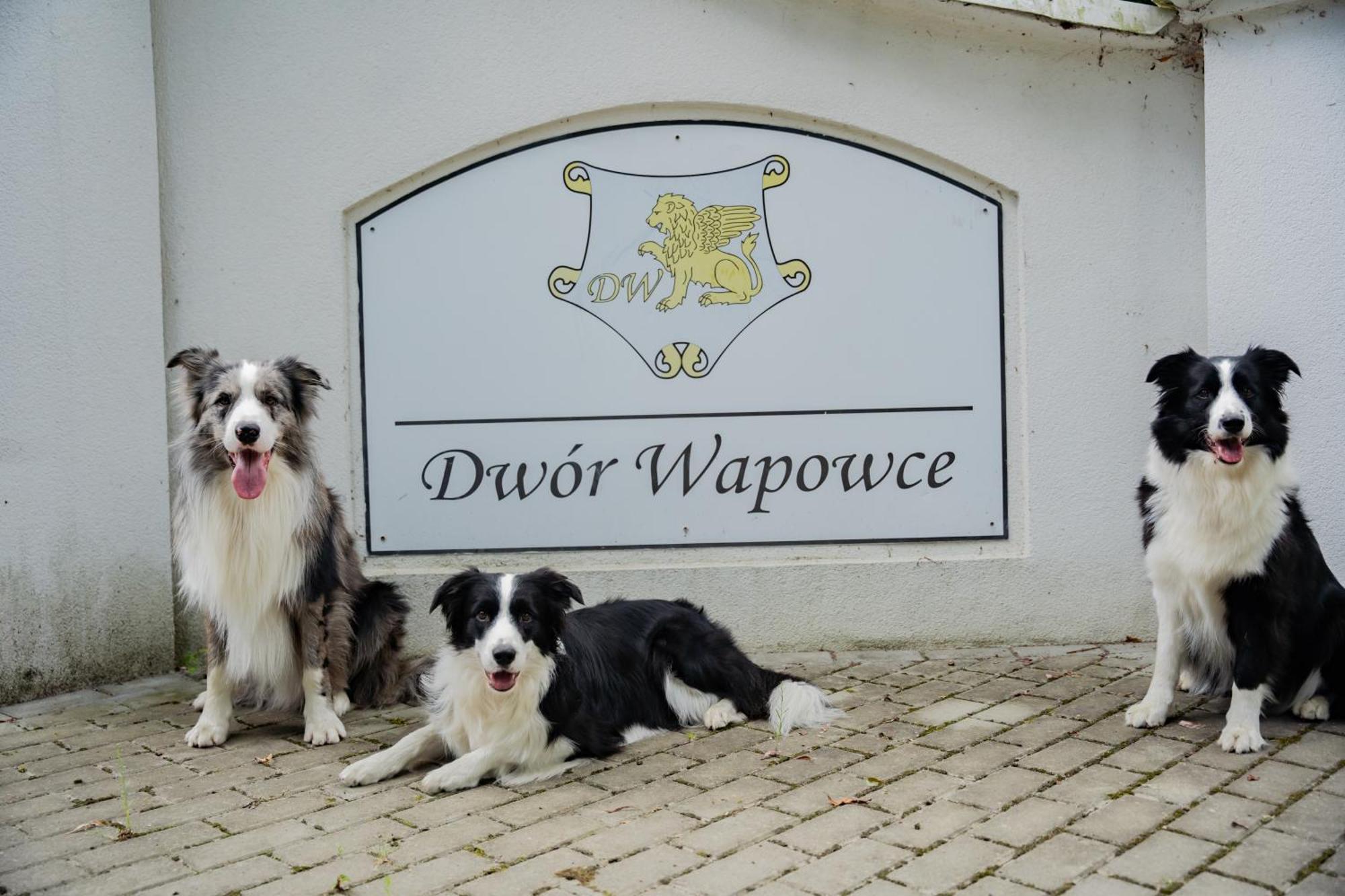 Dwor Wapowce Ξενοδοχείο Εξωτερικό φωτογραφία